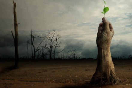 416944_544872088862141_1135322027_n